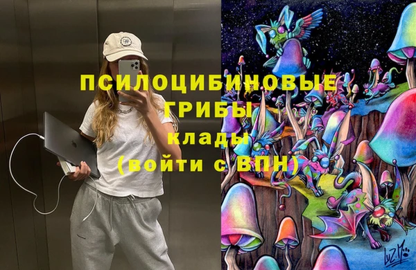 героин Горняк