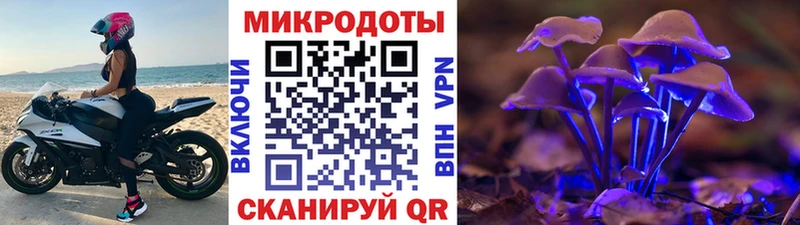 Галлюциногенные грибы прущие грибы  Зея 