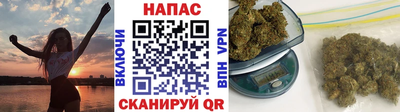 Канабис сатива  Зея 